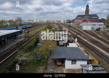 Schrebergärten im Frühjahr zwischen den Gleisen, Westhafen, Berlin, Deutschland Stockfoto