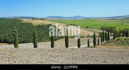 Kapelle und Landhaus, Zypresse (Cupressus) Zypressenallee auf einem Hügel, San Quirico dOrcia, Val dOrcia, Provinz Siena, Toskana, Italien Stockfoto