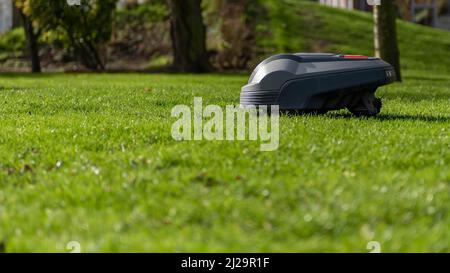 Der Mähroboter mäht den Rasen Stockfoto