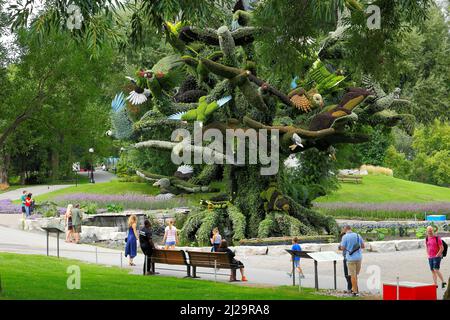 Pflanzenskulptur von Vögeln, Gartenbau, Gatineau, Provinz Quebec, Kanada Stockfoto