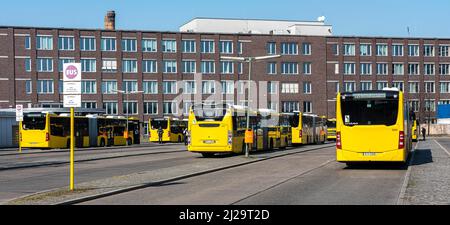 Haltestelle der Berliner Verkehrsbetriebe am Bahnhof Zoo, Berlin Stockfoto