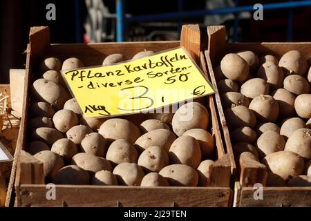 Saatkartoffeln mit Preisschild in einer Holzkiste auf einem Marktstand, Bremen, Deutschland Stockfoto