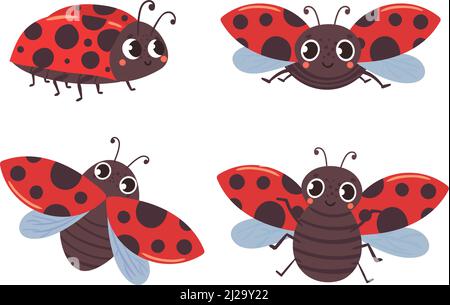 Cartoon Marienkäfer Insekten mit roten schwarzen Flügeln Stock Vektor