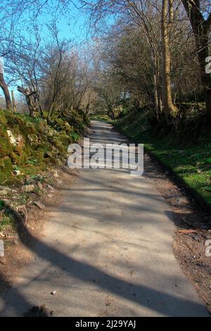 Ein sehr steil geneigter Farmweg, der den Hügel hinauf blickt, mit moosbedeckten Steinmauern auf der einen Seite und Bäumen auf der anderen Seite. Stockfoto