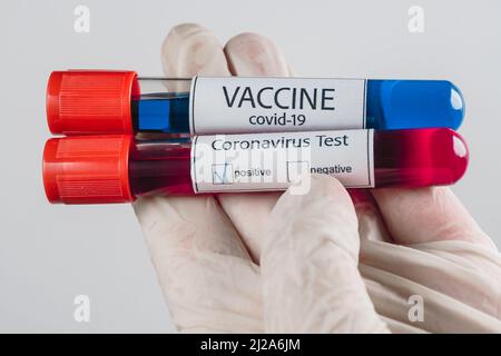 Saugen Sie die Röhrchen mit einer Blutprobe mit einem positiven Ergebnis für eine Covid-19-Infektion und einer blauen Impfstoffprobe in der Hand mit einem medizinischen Handschuh ab Stockfoto
