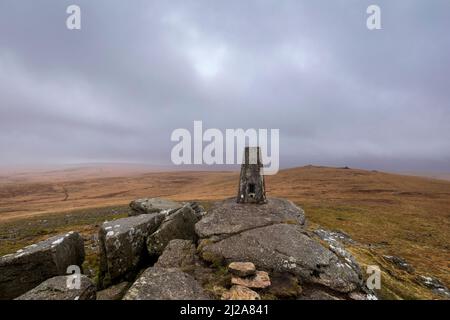 Ascending High Willhays der höchste Punkt im Dartmoor Nationalpark und im Süden Englands, Okehampton Devon im Westen Englands Stockfoto