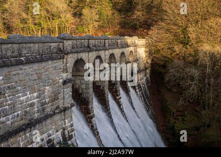 Abendliches goldenes Stundenlicht auf Burrator Damm und Stausee auf der Südseite von Dartmoor Devon im Westen von England Großbritannien Stockfoto