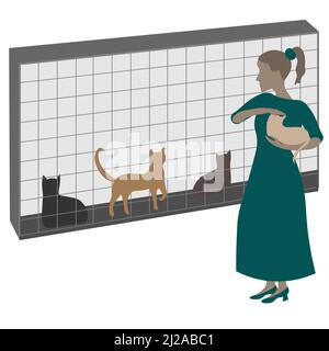 Ein Mädchen nimmt eine Katze aus einem Tierheim für obdachlose Tiere. Stockfoto