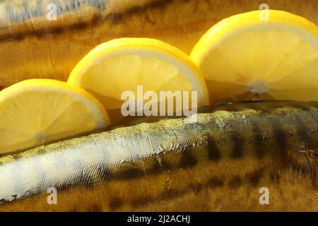 Geräucherter Makrele mit Zitronenscheiben, Nahaufnahme Stockfoto