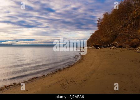 EIN STRAND UND DIE PUGHT KLINGEN AN DER KÜSTE AUF DER INSEL WHIDBEY MIT HERBSTLICHEN BLÄTTERN UND EINEM VERSCHWOMMENEN, WOLKIGEN HIMMEL Stockfoto