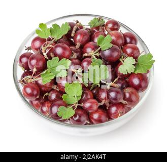 Rote Stachelbeeren mit grünen Blättern in Glasschüssel mit Schneideweg Stockfoto