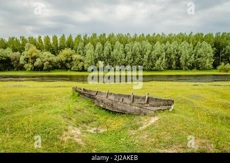 Vergessene, verfallene Holzfischerboote in einem Teich in der Nähe von Kovilj, der an der Küste festgemacht ist. Stockfoto