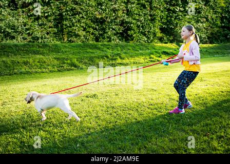 Junges Mädchen hält Leine, während sie durch den Park spazieren. Stockfoto