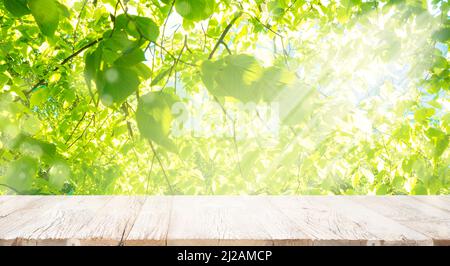 Alte weiße vintage Planken Holztisch in Perspektive auf hellgrünen Bokeh Sommer Hintergrund mit grünen Blättern Zweig und Sonnenlicht. Stockfoto