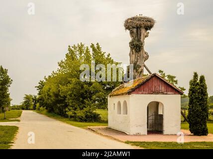 Ein Storchennest, das an der Spitze eines Baumes, außerhalb der Siedlung, befestigt ist. Stockfoto