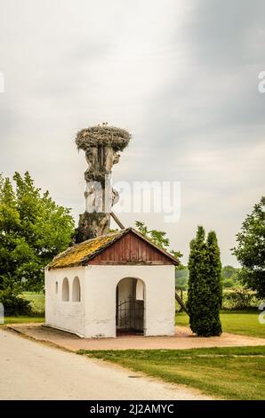 Ein Storchennest, das an der Spitze eines Baumes, außerhalb der Siedlung, befestigt ist. Stockfoto