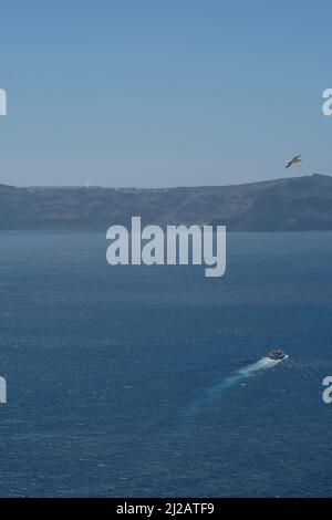 Blick auf ein kleines Fährschiff, das gerade den Hafen von Santorini verließ und Möwe darüber flog Stockfoto