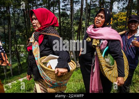 Lembang, Indonesien. 31. März 2022. Frauen sahen, wie sie während einer Prozession in Lembang Opfergaben trugen. Haschat lembur oder Nadar Tumbalan ist ein Ausdruck der Dankbarkeit und der Bitte, dass die Bewohner des Dorfes Buni Asih, Lembang, dem Allmächtigen Sicherheit, Wohlergehen und Gesundheit geben. Kredit: SOPA Images Limited/Alamy Live Nachrichten Stockfoto