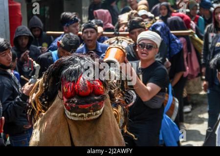 Lembang, Indonesien. 31. März 2022. Während einer Prozession in Lembang wird ein Mann mit einer Maske, die in der Landessprache als Reak bekannt ist, gesehen. Haschat lembur oder Nadar Tumbalan ist ein Ausdruck der Dankbarkeit und der Bitte, dass die Bewohner des Dorfes Buni Asih, Lembang, dem Allmächtigen Sicherheit, Wohlergehen und Gesundheit geben. Kredit: SOPA Images Limited/Alamy Live Nachrichten Stockfoto