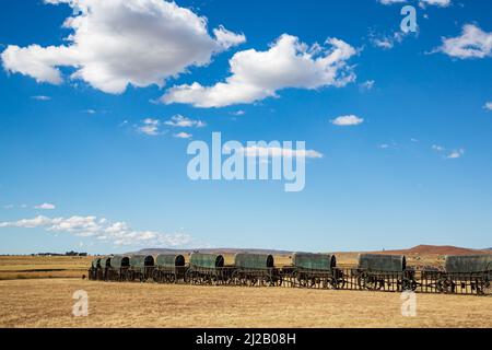 Kreis aus 64 nachgebauten Voortrekker-Waggons, die in Bronze gegossen wurden, im Blood River Heritage Site, KwaZulu-Natal, Südafrika Stockfoto