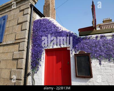 Ein im Trompe-l'oeil-Stil gemalter Kletterer, der ein Cottage in The Square, Marazion, Cornwall, schmückt. Stockfoto