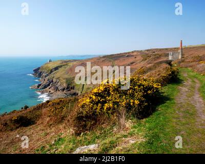 Rinsey Head und das zerstörte Maschinenhaus von Wheal Prosper, Porthleven, Cornwall. Stockfoto