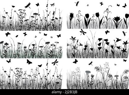Sammlung von Silhouetten von Blumen, Gräsern und Insekten: Aster, Zichorie, Echinacea, rudbeckia, Tulpe, krokus, Glockenblume, Pasqueflower Stock Vektor
