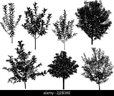 Sammlung von Silhouetten von Bäumen: apfel, Kirsche, Kastanie, Pflaume Stock Vektor