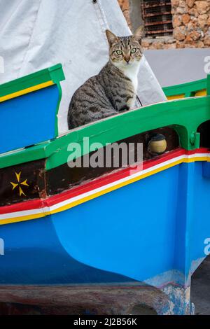 Eine Katze, die in einem luzzu (einem traditionellen maltesischen Fischerboot), St. Paul's Bay, Malta, sitzt Stockfoto