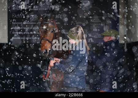 Bei jedem Rennen fällt Schnee, während Pottlerath im Vorparadering steht Live auf der Rennbahn Warwick in Warwick, dem TV-Anfänger, die eine Handicap-Hürde für Anfänger haben. Bilddatum: Donnerstag, 31. März 2022. Stockfoto