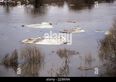 Nahaufnahme von auf dem Fluss schwimmenden Eisschollen. Frühling, Schnee schmilzt, trockenes Gras rundherum, Überschwemmungen beginnen und der Fluss überfließt. Tag, bewölktes Wetter, weiches warmes Licht. Stockfoto