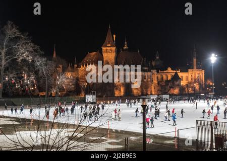 Schloss Vajdahunyad im Winter bei Nacht und Eislaufpark, Budapest, Ungarn Stockfoto
