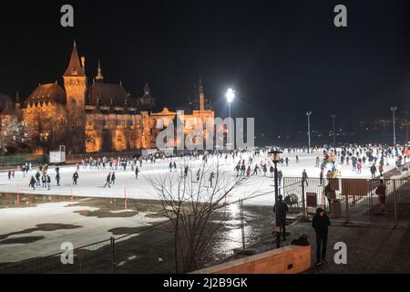 Schloss Vajdahunyad im Winter bei Nacht und Eislaufpark, Budapest, Ungarn Stockfoto