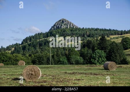 Sainte-Eulalie (Südostfrankreich): Mont Gerbier-de-Jonc, ein Berg vulkanischen Ursprungs mit seiner Basis, die drei Quellen enthält, die die Quelle sind Stockfoto