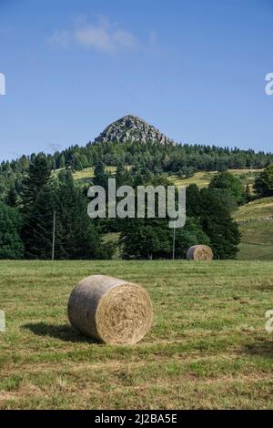 Sainte-Eulalie (Südostfrankreich): Mont Gerbier-de-Jonc, ein Berg vulkanischen Ursprungs mit seiner Basis, die drei Quellen enthält, die die Quelle sind Stockfoto