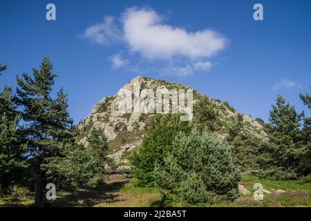 Sainte-Eulalie (Südostfrankreich): Mont Gerbier-de-Jonc, ein Berg vulkanischen Ursprungs mit seiner Basis, die drei Quellen enthält, die die Quelle sind Stockfoto