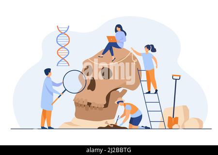 Winzige Anthropologen studieren Neanderthal Schädel flache Vektor-Illustration. Cartoon Menschen tun DNA und Paläolithische Forschung. Anthropologie und Prähisto Stock Vektor