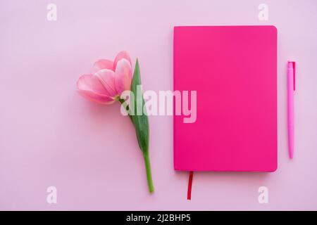 Draufsicht auf Tulpe in der Nähe von Notizblock und Stift auf rosa Stockfoto