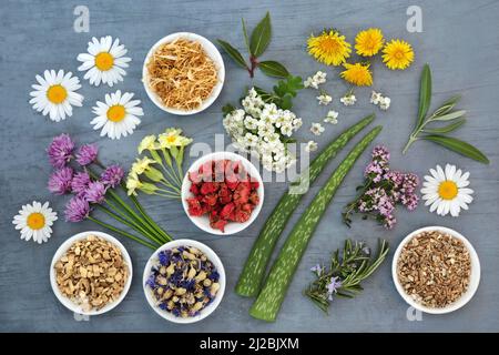 Heilende Kräuter und Blumen in Kräuterpflanzenmedizin in Schüsseln und lose verwendet. Alternative Gesundheitsversorgung natürliche Blume Heilmittel Konzept. Draufsicht, flach liegend Stockfoto