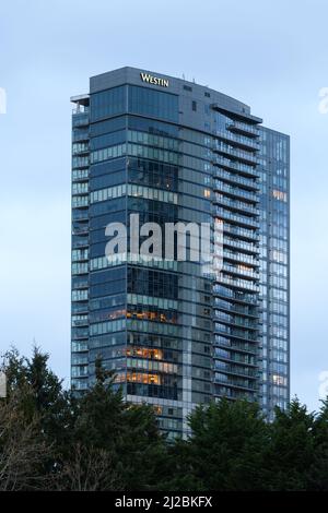 Bellevue, WA, USA - 29. März 2022; das Westin Hotel Tower in Bellevue Washington im Abendlicht Stockfoto