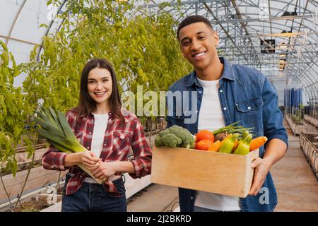 Glückliche multiethnische Bauern, die Bio-Gemüse im Gewächshaus halten Stockfoto