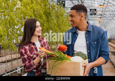 Lächelnder Bauer hält Karotten und Tomaten in der Nähe von afroamerikanischem Kollegen mit Kiste im Gewächshaus Stockfoto