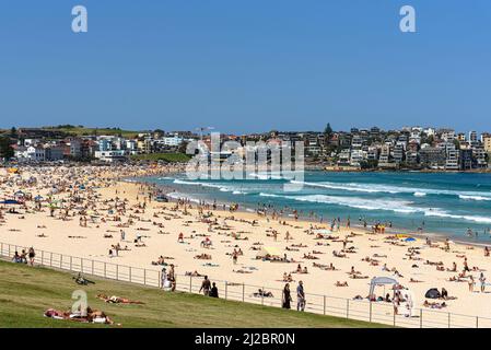 Bondi Beach an einem Sommertag Stockfoto