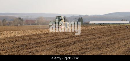 Ein Traktor pflügt das Feld und Krähen fliegen herum Stockfoto