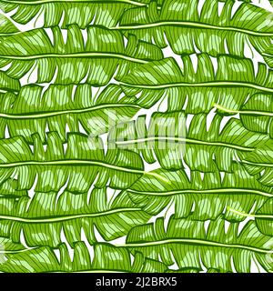Tropisches, nahtloses Bananenblatt-Muster. Der Dschungel hinterlässt den Hintergrund. Regenwaldtapete. Wiederholtes, handgezeichnetes exotisches Design für Druck, Stoff, Stock Vektor
