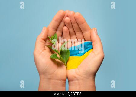 Frau Hände mit ukrainischer Flagge gehisst junge Pflanze, helfen Ukrainer Stockfoto