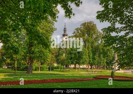 Bjelovar Kathedrale von Teresa von Avila Blick vom zentralen Park Stockfoto