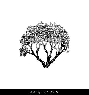 Tropische Bäume exotische Pflanzen. Östliche Landschaft. Exotische Natur. Linearer Dschungel. Handgezeichnete Skizze im Vintage-Stil. Stock Vektor