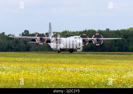 Ein militärischer Transport der Royal Canadian Air Force CC-130J Hercules während einer Flugdemonstration auf der Airshow London SkyDrive, die in Ontario, Kanada, stattfand. Stockfoto