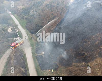 Cork, Irland, 31.. März 2022. Die Feuerwehr der Stadt Cork beschäftigt sich mit einem großen Gorse-Feuer in der Nähe von Häusern im Glen Park, Cork, Irland. Luftbild von Mitgliedern der Feuerwehr der Stadt Cork, die sich mit einem weiteren großen Gorse-Feuer in der Nähe von Häusern im Glen River Park, der zwischen Glen und Ballyvolane verläuft, befassen. Kurz nach 6 Uhr an diesem Abend besuchte die Feuerwehr der Stadt Cork die Szene eines großen Gorse-Feuers in der Nähe von Häusern im Glen River Park, der Rauch dieses Feuers blies direkt in die Häuser in der Gegend von Glen oberhalb des Glen Parks. Eine Reihe von Feuerwehrleuten war zu sehen Stockfoto